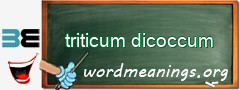WordMeaning blackboard for triticum dicoccum